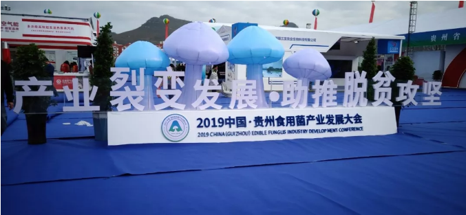 【贵州食用菌博览会】波音新能源自主研发多功能高效超高温热泵蒸汽机震撼问世