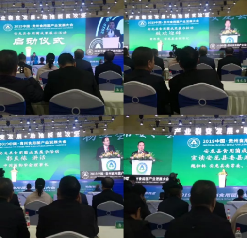 【贵州食用菌博览会】波音新能源自主研发多功能高效超高温热泵蒸汽机震撼问世