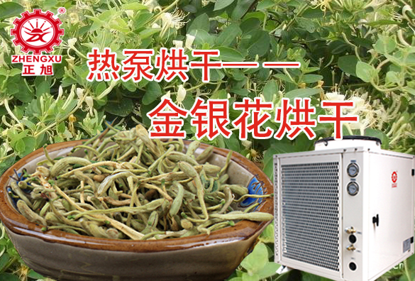 金银花空气能热泵烘干机