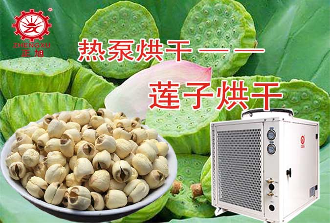 莲子莲心热泵烘干机