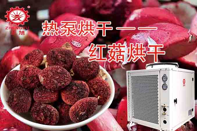 波音红菇热泵烘干图组