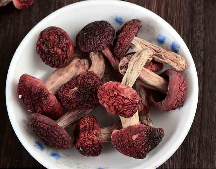 红菇烘干机组图