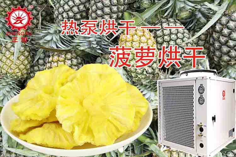波音菠萝热泵烘干效果图组
