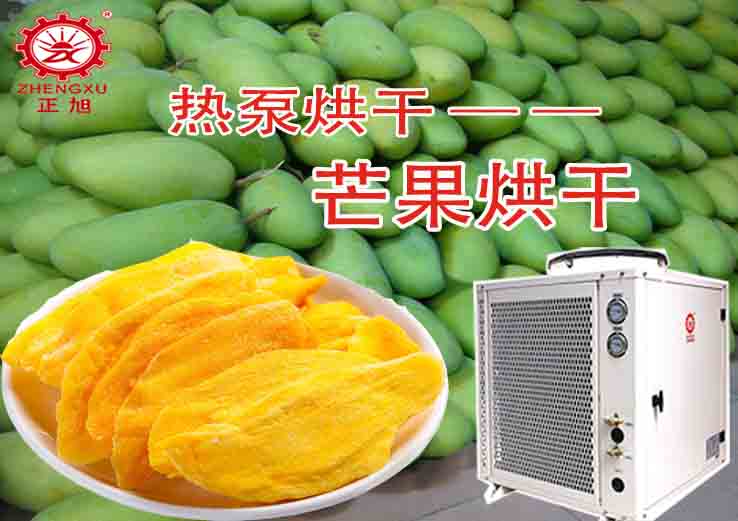 芒果热泵烘干机图组