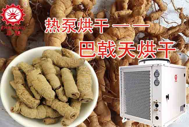 波音空气能巴戟天烘干机