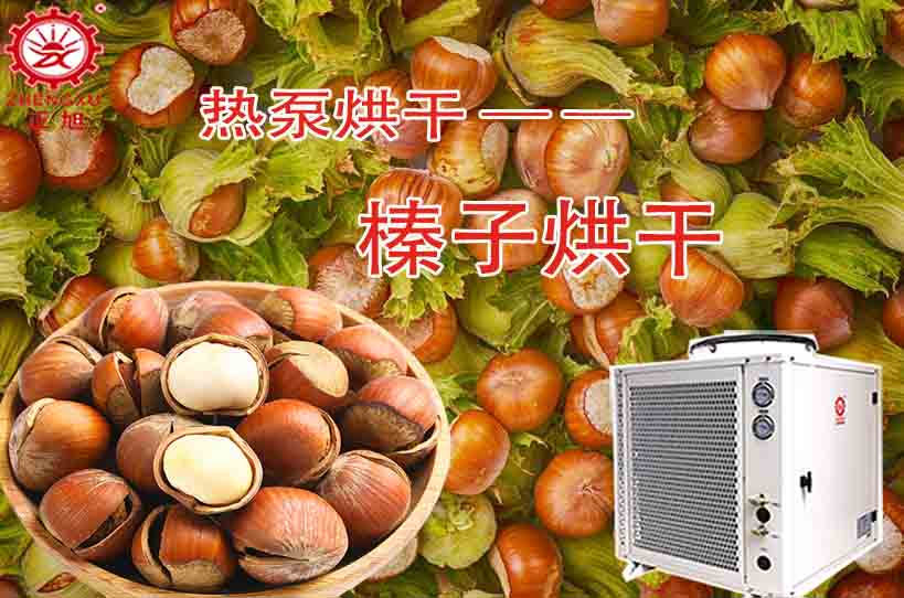 波音榛子烘干工艺及烘干设备