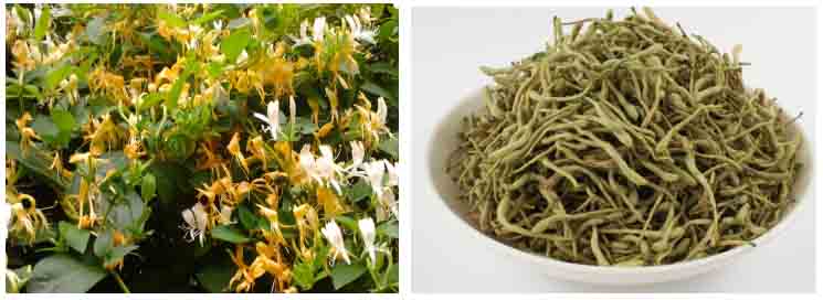 金银花烘干机价格和原理
