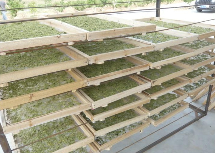 小型金银花烘干机多少钱一台？小型号「价钱低」烘干更灵活