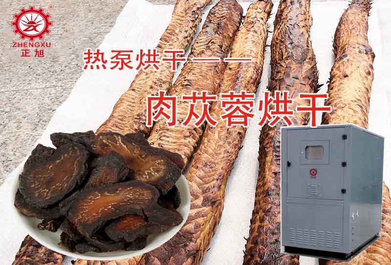 波音肉苁蓉热泵烘干工艺（烘干温度、时间）