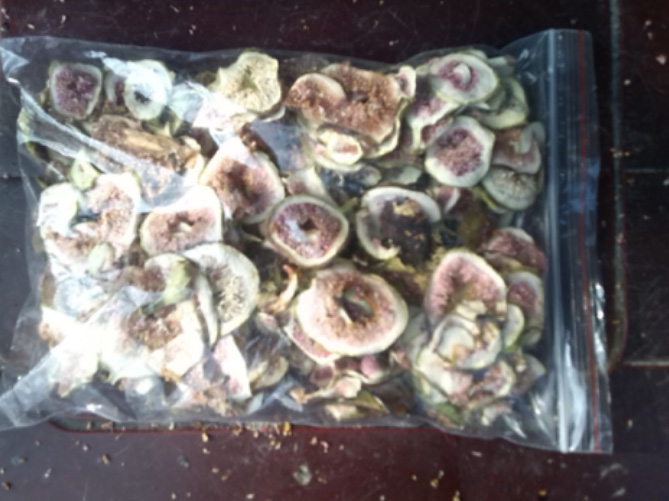 江苏泗洪无花果烘干项目