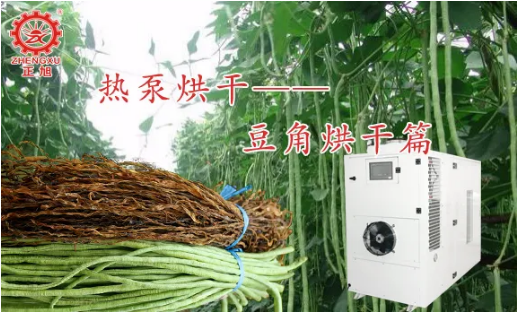 波音豆角热泵烘干方案