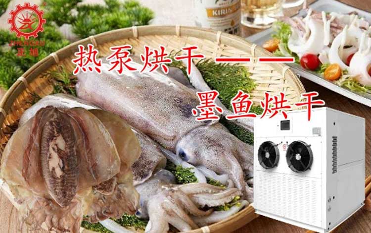 波音空气能热泵烘干机墨带鱼烘干机海鲜热泵烘干机热泵海鲜烘干机项目案例图片